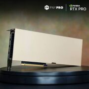 PNY NVIDIA RTX PRO 6000 Blackwell Server Edition 96 GB GDDR7 ECC Profesyonel Ekran Kartı