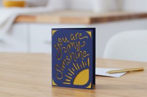 CRICUT 2007254 JOY INSERT KARTI 12Lİ PAKET 12 KART 10.8X14CM 12 INSERT 10.2X13.3CM 12 BEYAZ ZARF 11.1X14.6CM