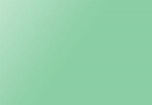 CRICUT 2005219 PREMIUM VİNİL KALICI 30.5X122CM PASTEL YEŞİLİ