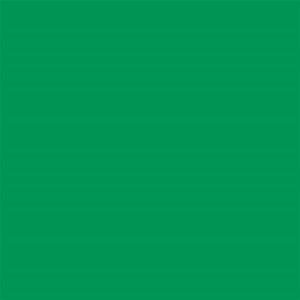 CRICUT 2008623 SMART VİNİL KALICI 33X91CM 1 SAYFA ÇİMEN YEŞİLİ