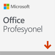 MICROSOFT OFFICE 2021 PROFESSIONAL TURKCE-INGILIZCE ELEKTRONIK LISANS 269-17190